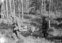 Kaatuneita suomalaisia kannetaan Juttulammen maastossa
